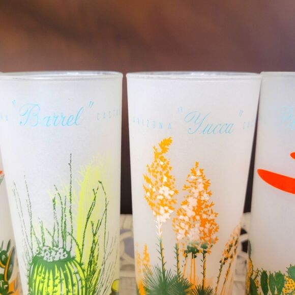 Vintage Blakely Oil Arizona Cactus Glasses – Set of 5 Frosted Highball Tumblers - Picture 10 of 10